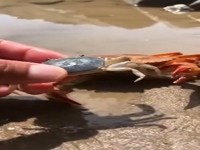 مادر توی هر جسمی یک قهرمانه