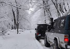 جنگل‌های دوهزار برفی در تنکابن، مازندران