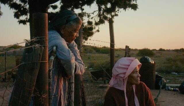 معرفی برندگان جشنواره روتردام ۲۰۲۶