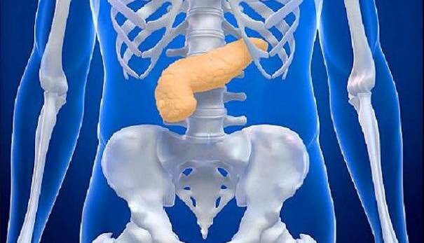 محافظت از لوزالمعده در برابر دیابت: پیوند شگفت‌انگیز آهن و انسولین