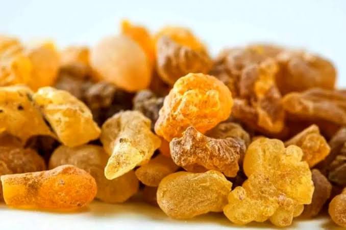 سقز بجوید تا رطوبت مغزتان کم شود