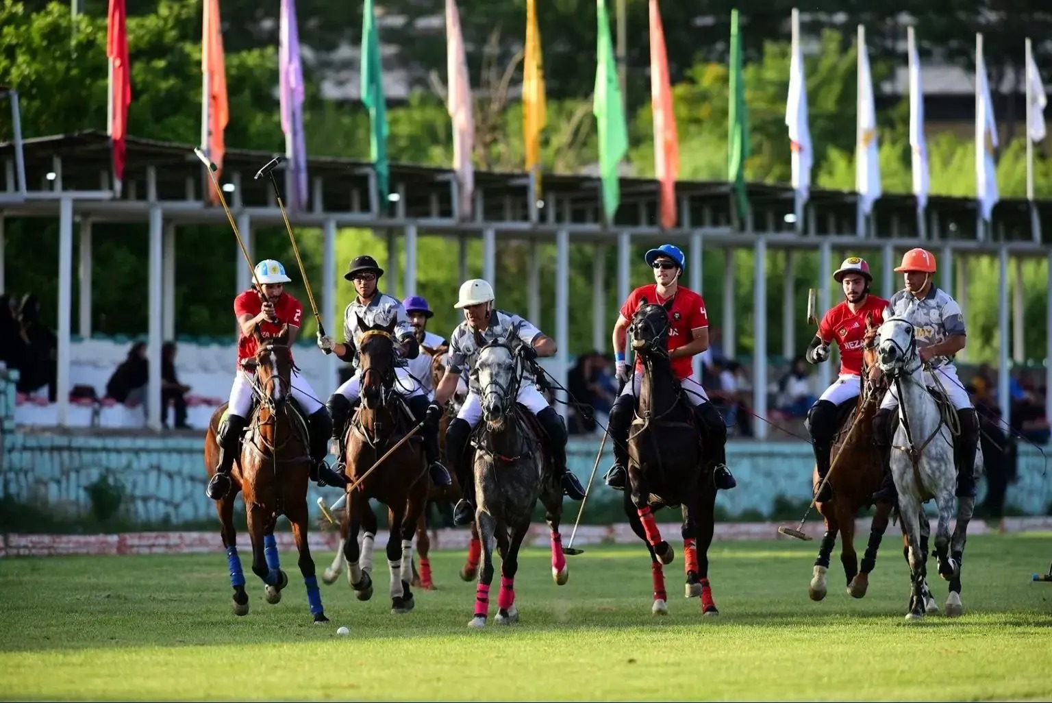 روز ملی چوگان به تقویم رسمی کشور اضافه می‌شود