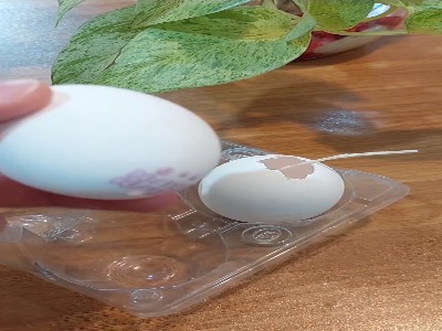 با شمع تخم مرغی هفت سینت رو زیبا کن