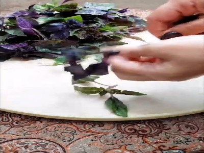 خورشت ریحون متفاوت ترین غذاست!