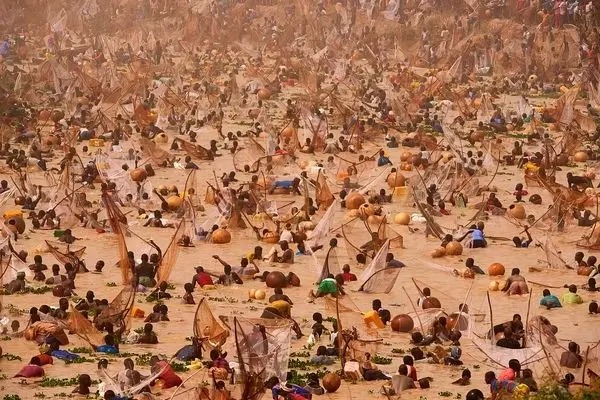 هجوم صدها نفر به رودخانه برای صید بزرگترین ماهی