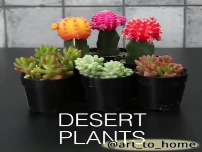 گلدون خوشگل بساز!