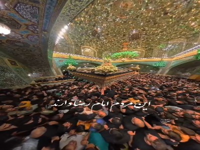 این مردم امام رضا دارند...