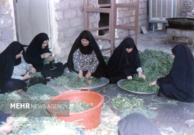 آریا بانو