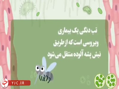 تب دنگی؛ نیش پشه‌ها را جدی بگیریم