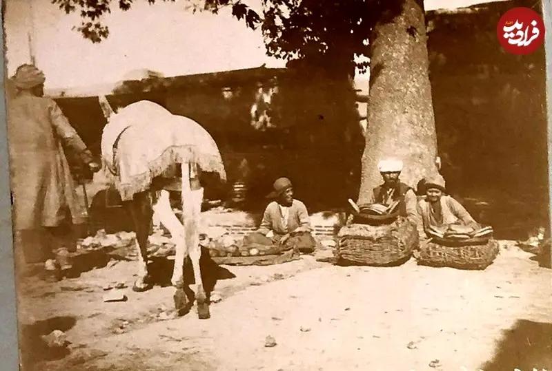 آریا بانو