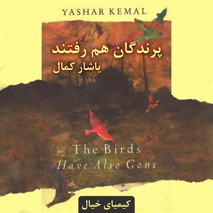 کتاب صوتی؛ پرندگان هم رفتند(فصل آخر)