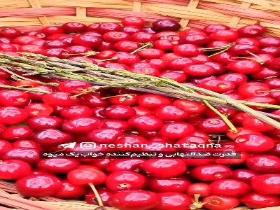 قدرت ضد التهابی آلبالو