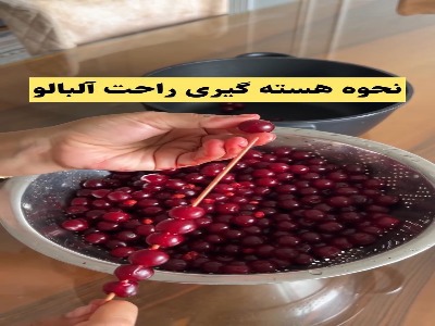 اینجورى راحت و سه سوته هسته گیرى کن