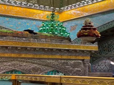 حضور ارسلان قاسمی در حرم امام رضا(ع)