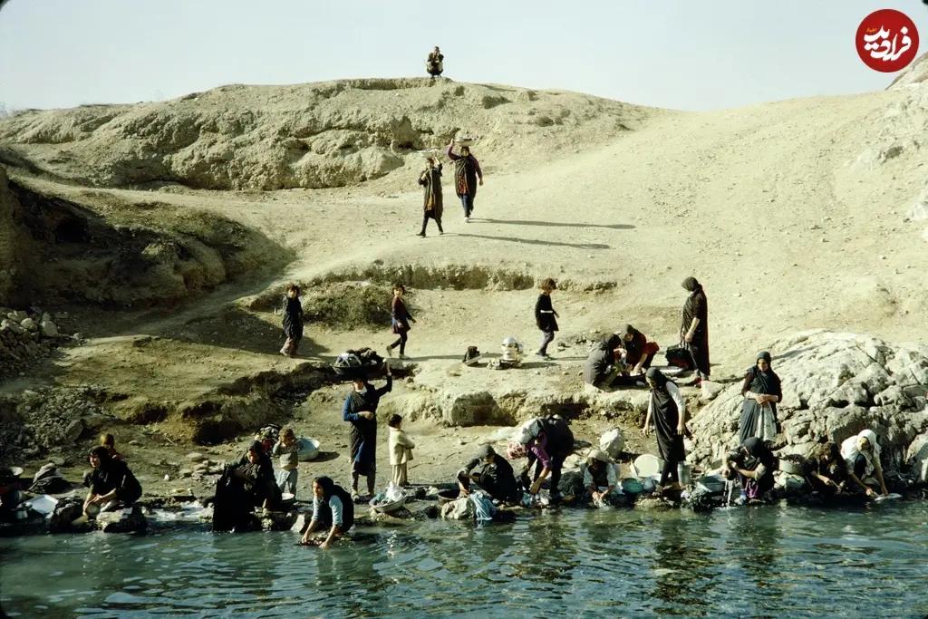 آریا بانو