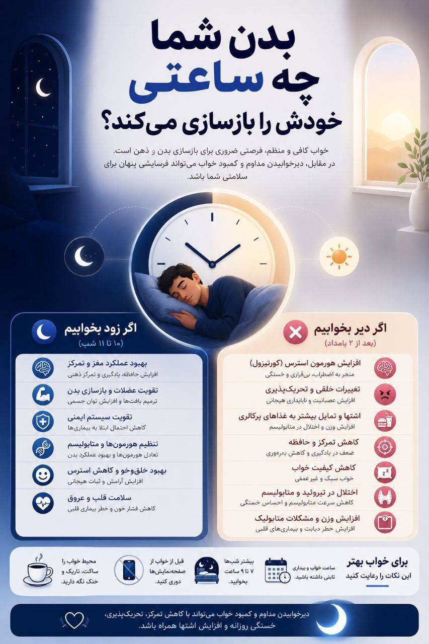 بدن شما چه ساعتی خودش را بازسازی می‌کند؟