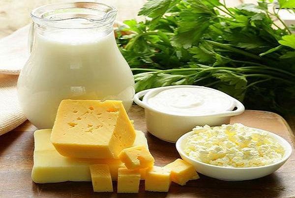 نگاه طب ایرانی به اثرات درمانی پروبیوتیک‌ها