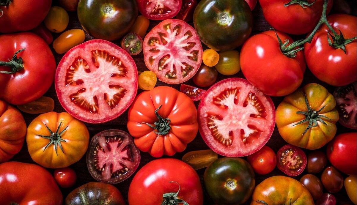 خوردن گوجه فرنگی برای این افراد ضرر دارد؛ ۵ عارضه و نکته مهم که حتماً بدانید | آخرین خبر