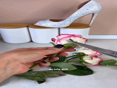 روشی برای جاودانه کردن گلها