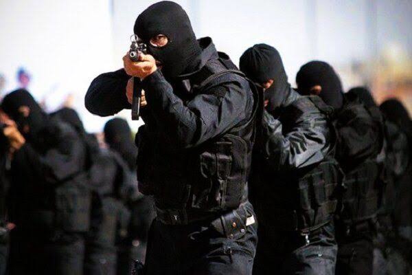 شکار باند سرقت در عملیات دلهره‌آور پلیس