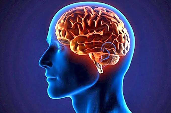 بیکاری باعث نابودی مغز می شود!
