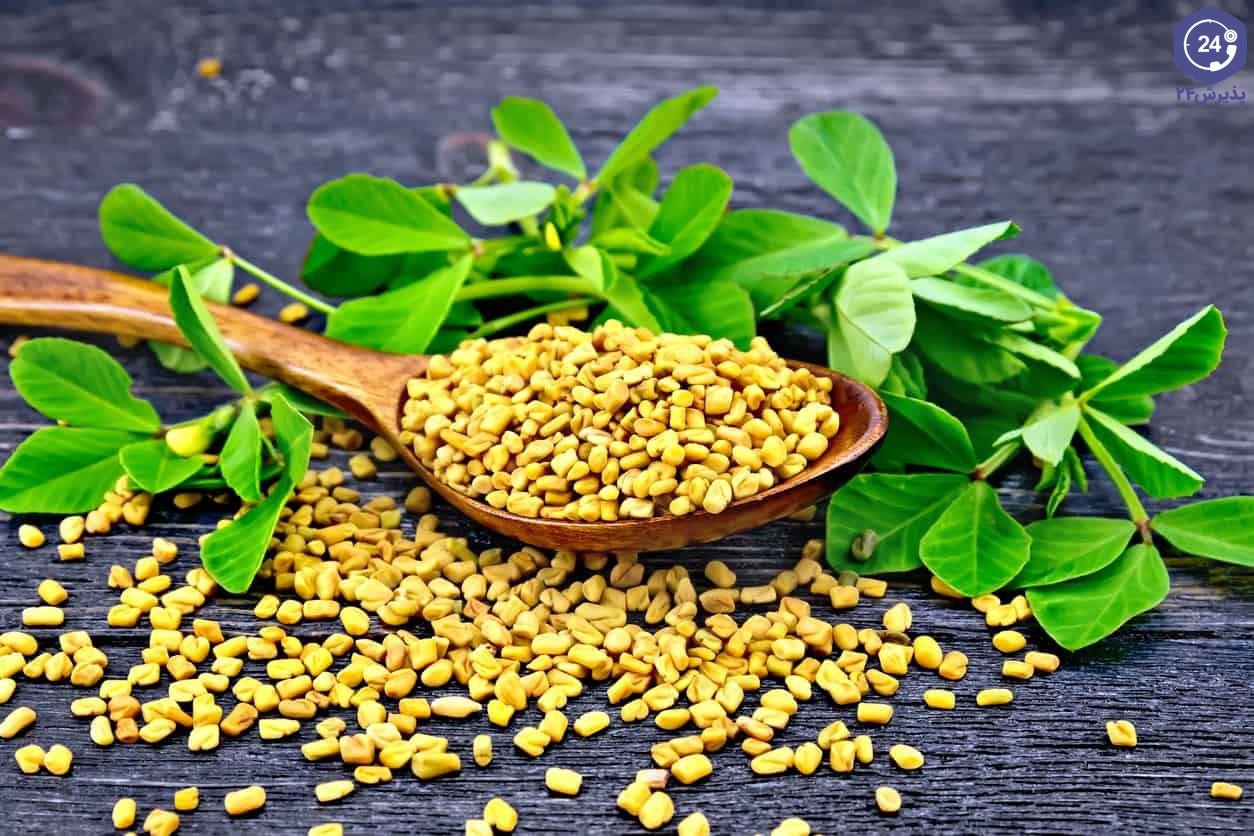 شنبلیله روده را پاکسازی می‌کند