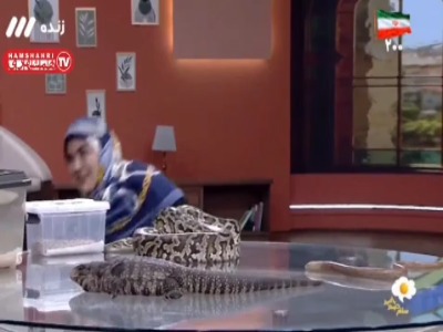 ورود مار و سوسمار به پخش زنده صداوسیما!