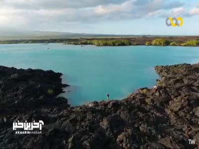 امواج غیرقابل پیش بینی، از بزرگترین مشکلات پنگوئن ها