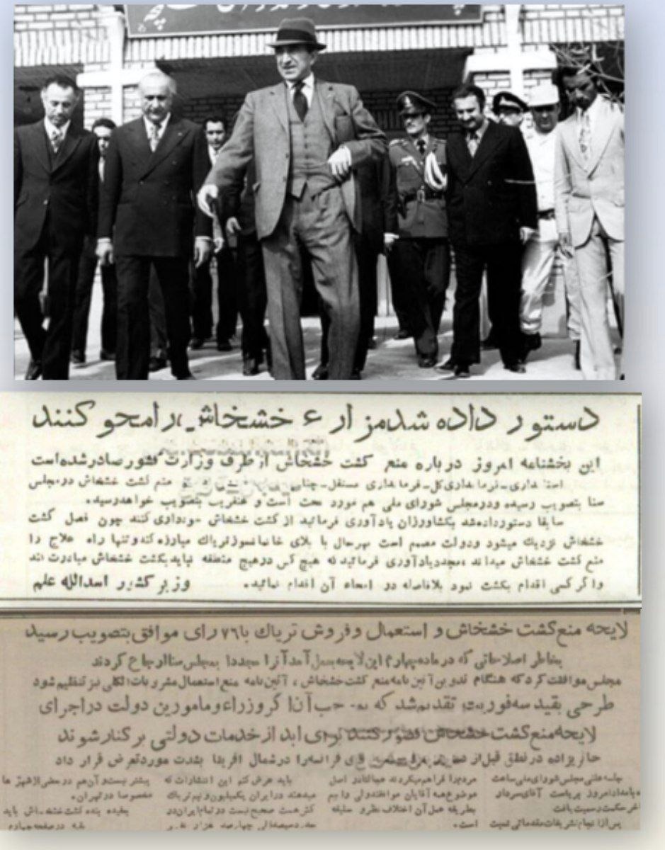 آریا بانو