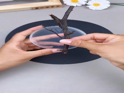 یک کاردستی جذاب پاییزی