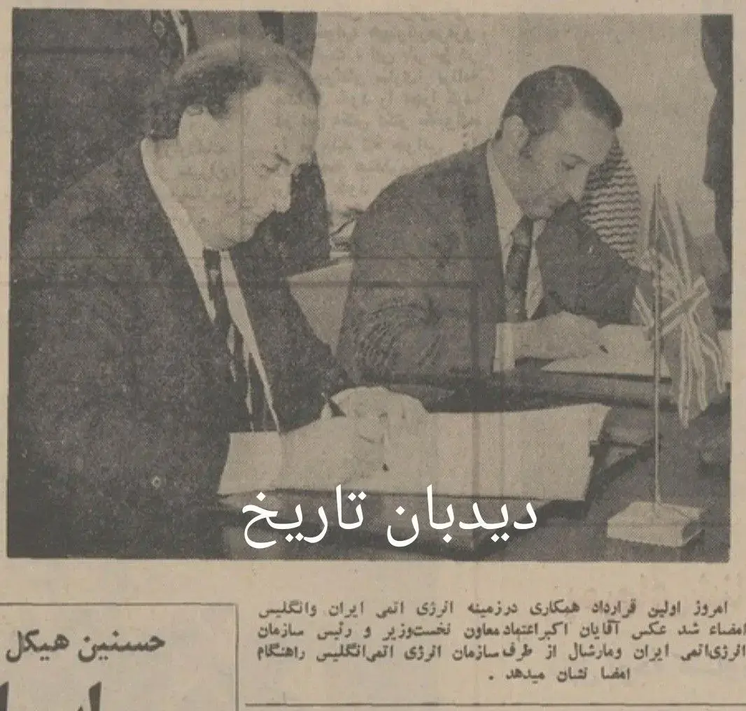 آریا بانو