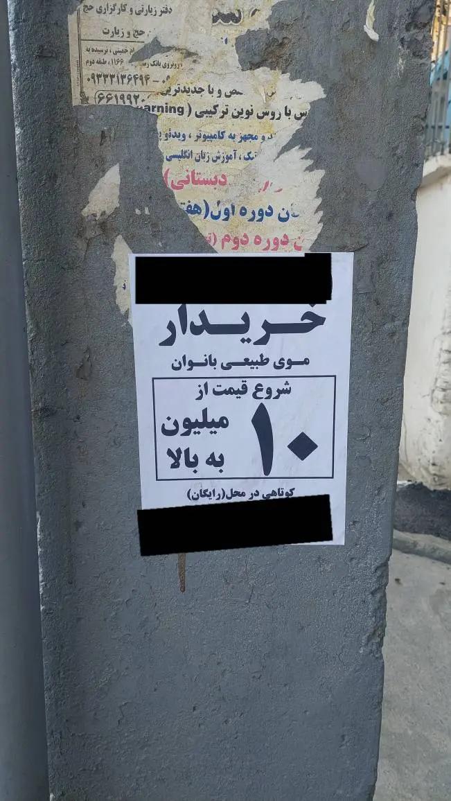 آریا بانو