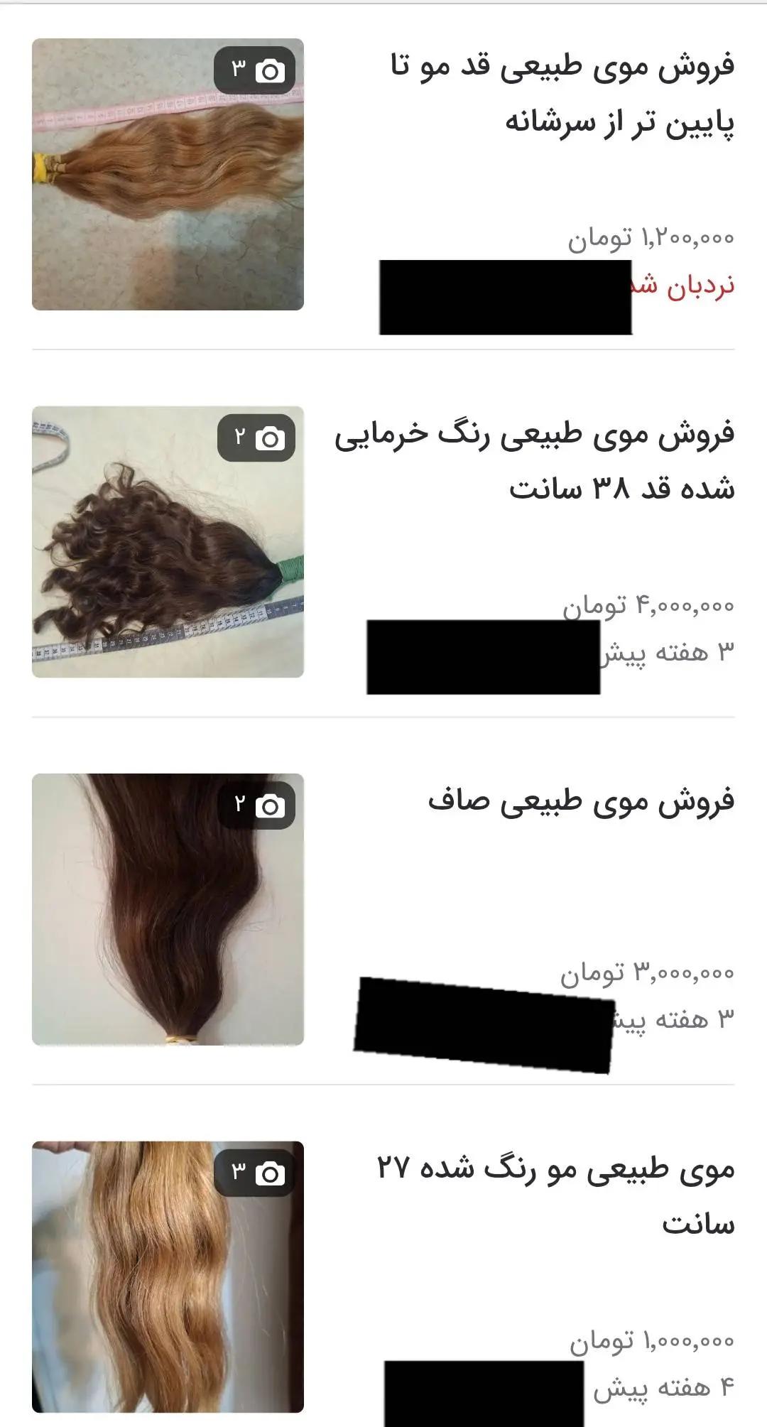 آریا بانو